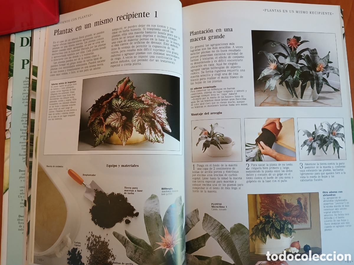 Libros de segunda mano: Decorar con plantas. John Brooks. - Foto 8
