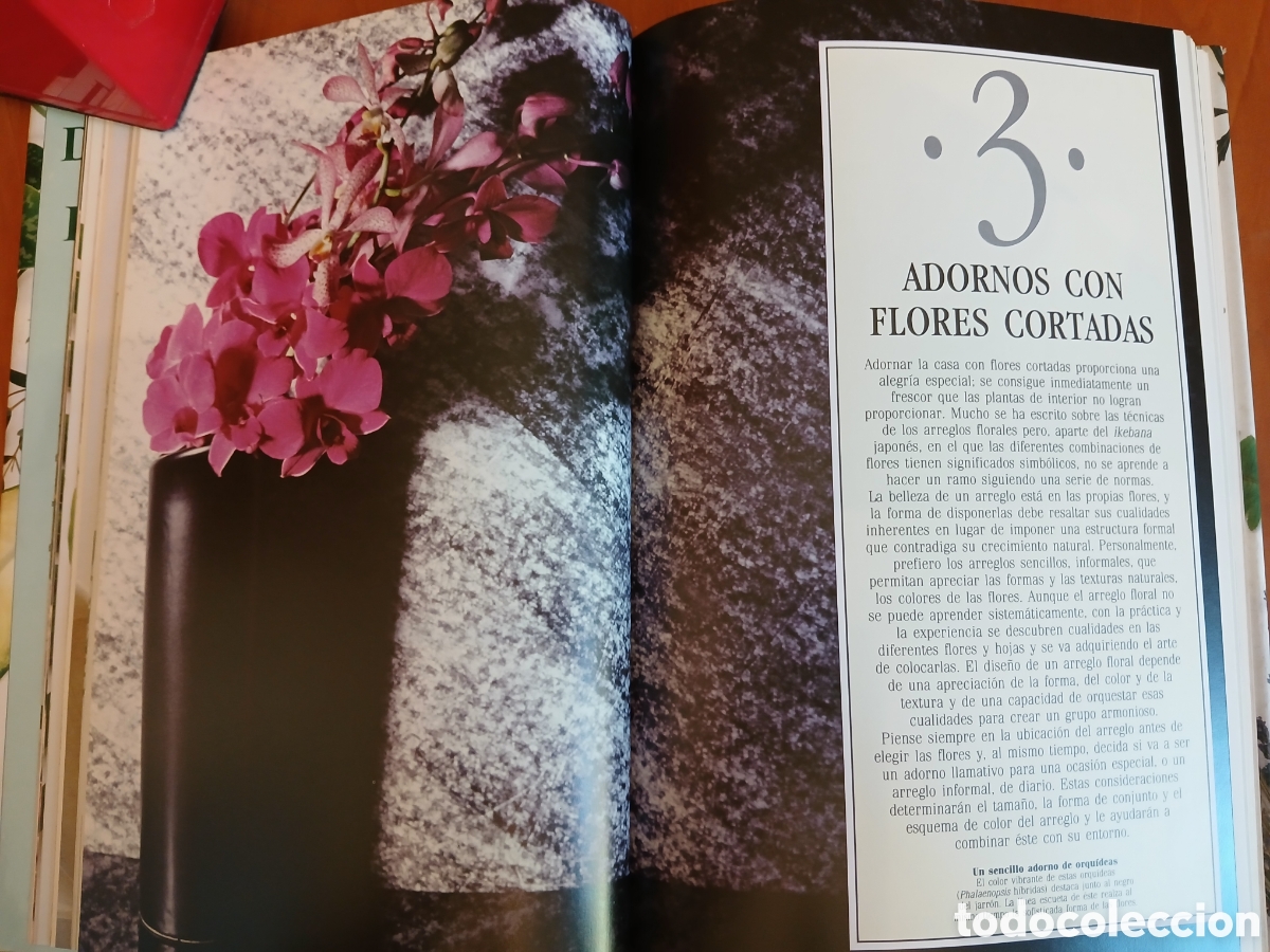 Libros de segunda mano: Decorar con plantas. John Brooks. - Foto 9