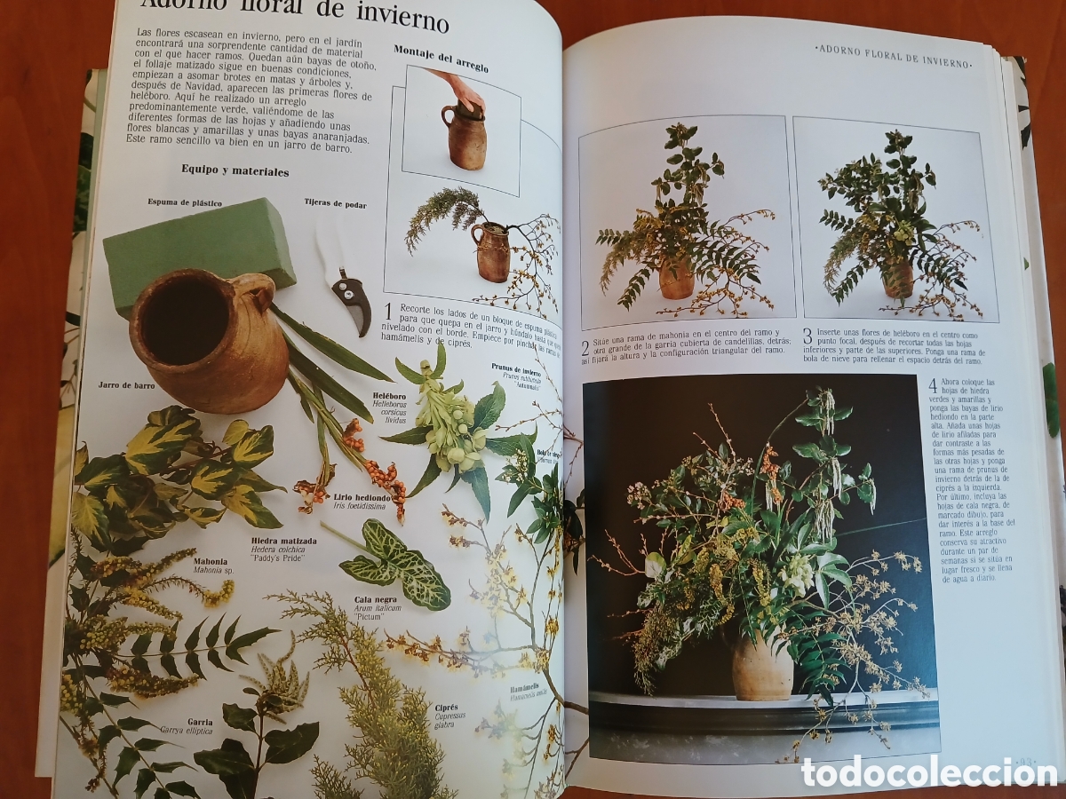 Libros de segunda mano: Decorar con plantas. John Brooks. - Foto 10