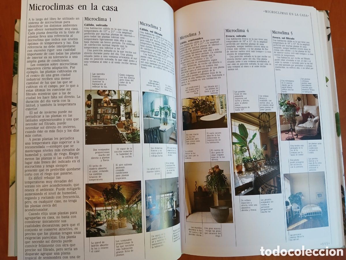 Libros de segunda mano: Decorar con plantas. John Brooks. - Foto 11