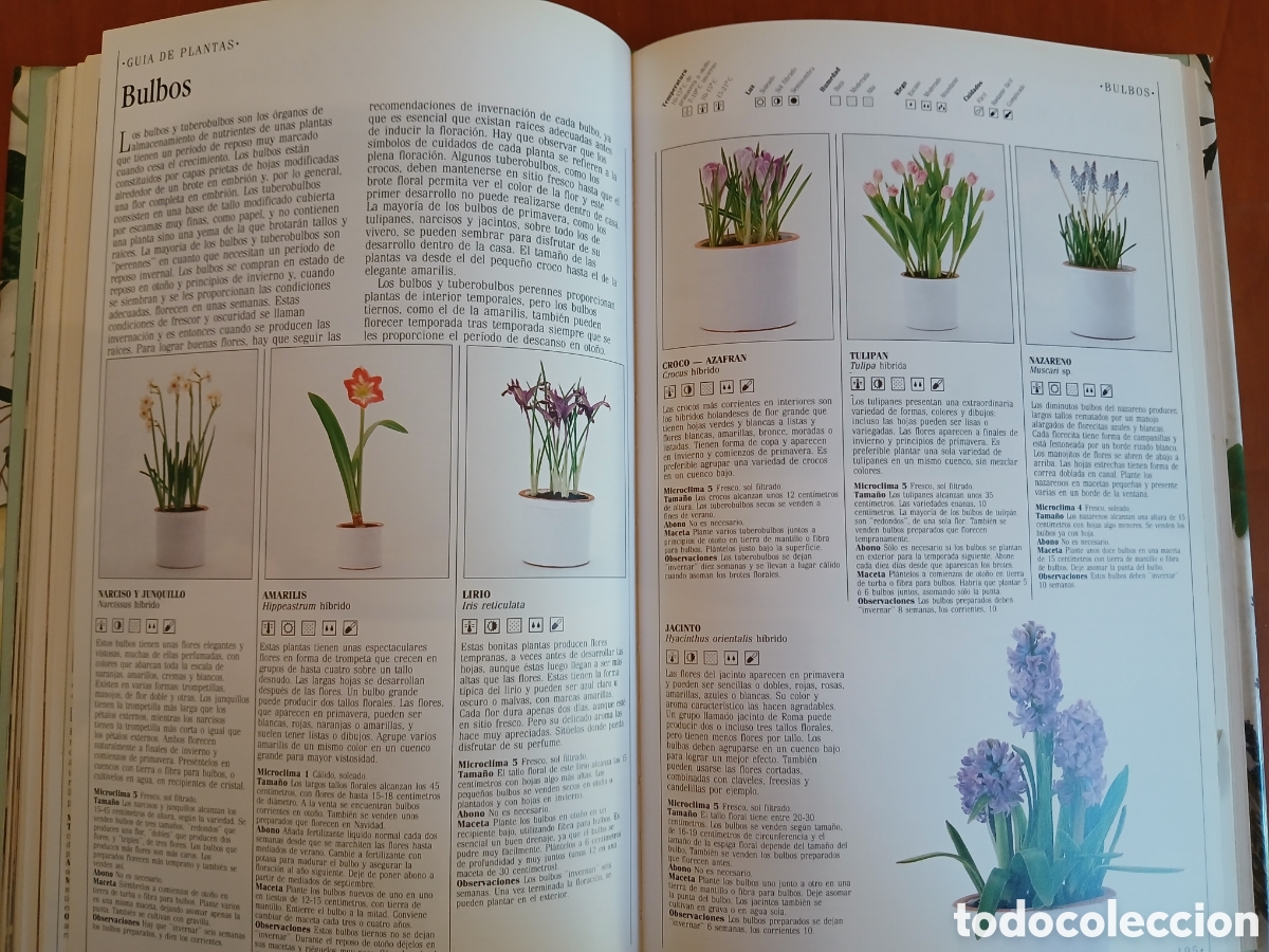 Libros de segunda mano: Decorar con plantas. John Brooks. - Foto 14