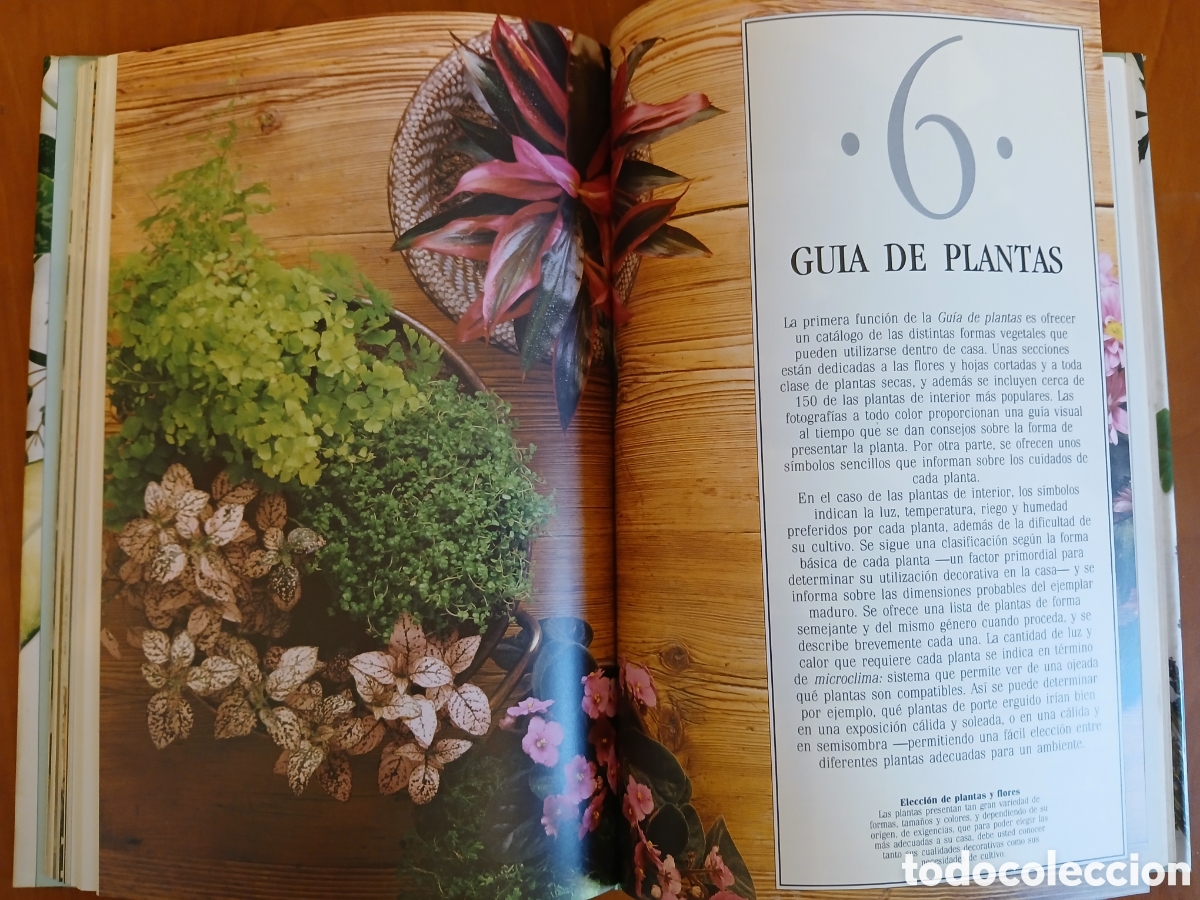 Libros de segunda mano: Decorar con plantas. John Brooks. - Foto 15
