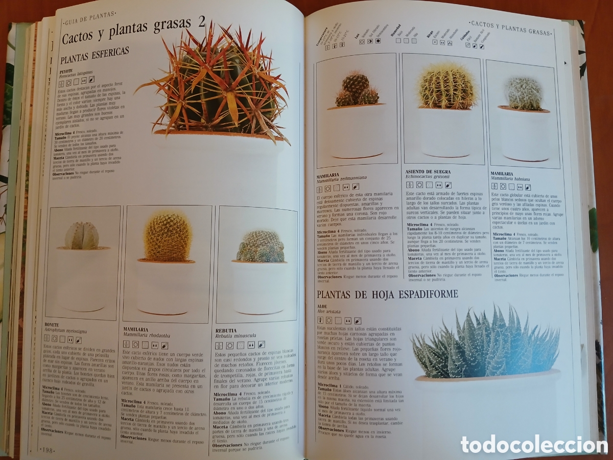 Libros de segunda mano: Decorar con plantas. John Brooks. - Foto 16