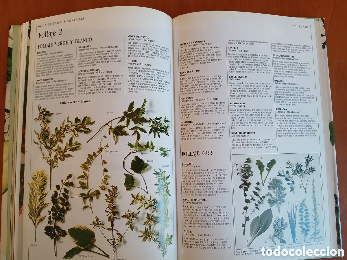 Libros de segunda mano: Decorar con plantas. John Brooks. - Foto 17