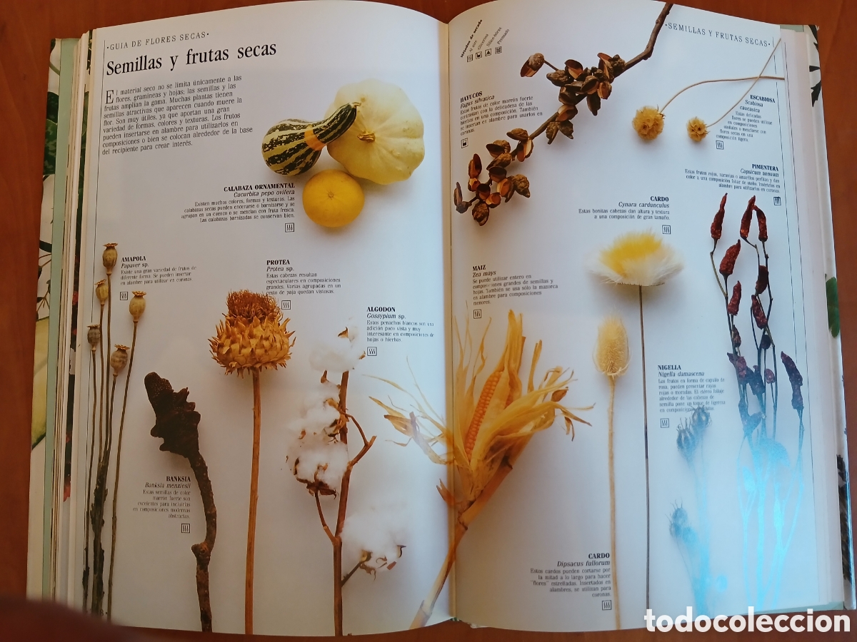Libros de segunda mano: Decorar con plantas. John Brooks. - Foto 18