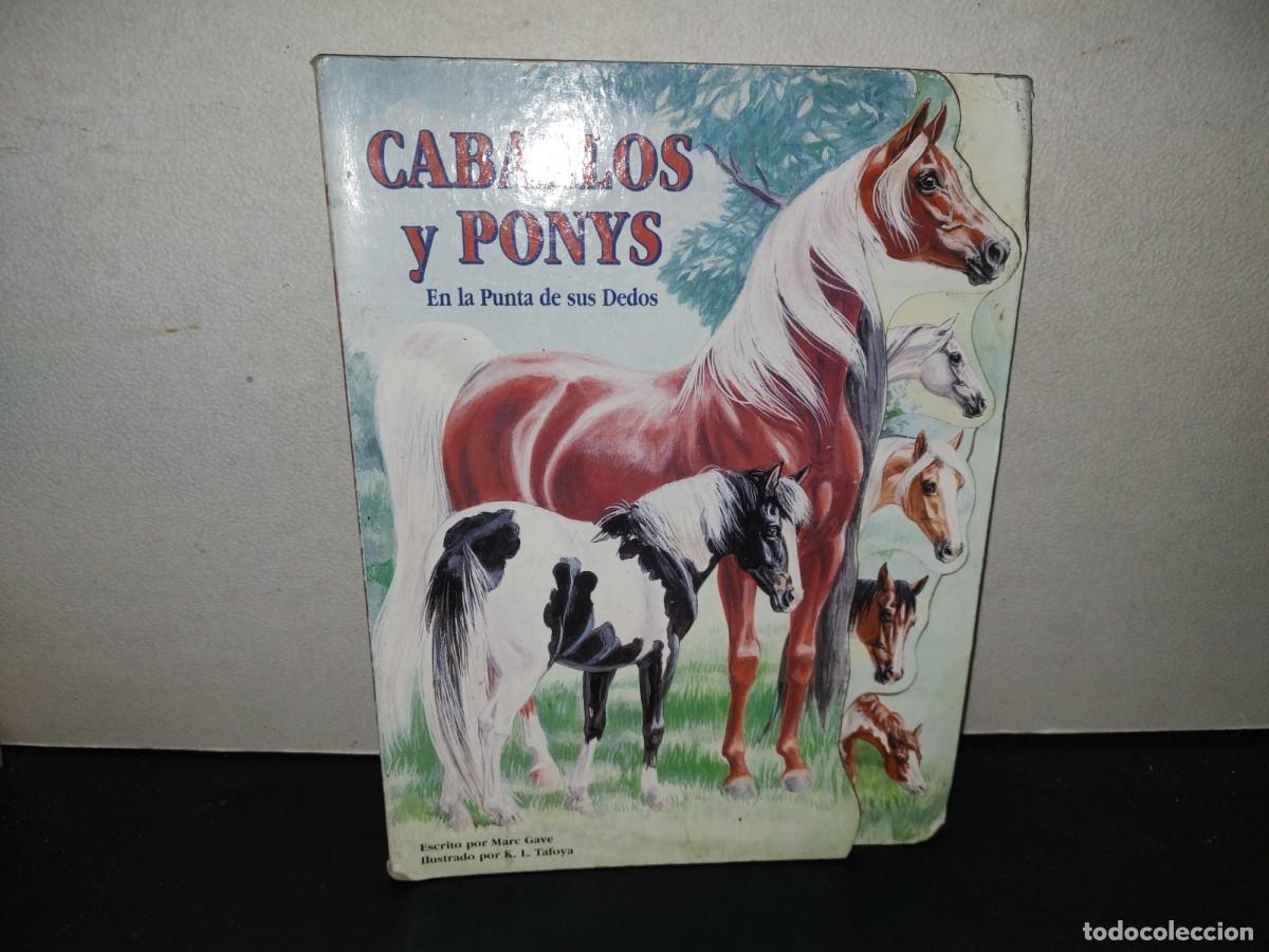 Libros de segunda mano: 199- Caballos Y Ponys En La Punta De Sus Dedos - Marc Gave. McClanahan Book Company, 1996