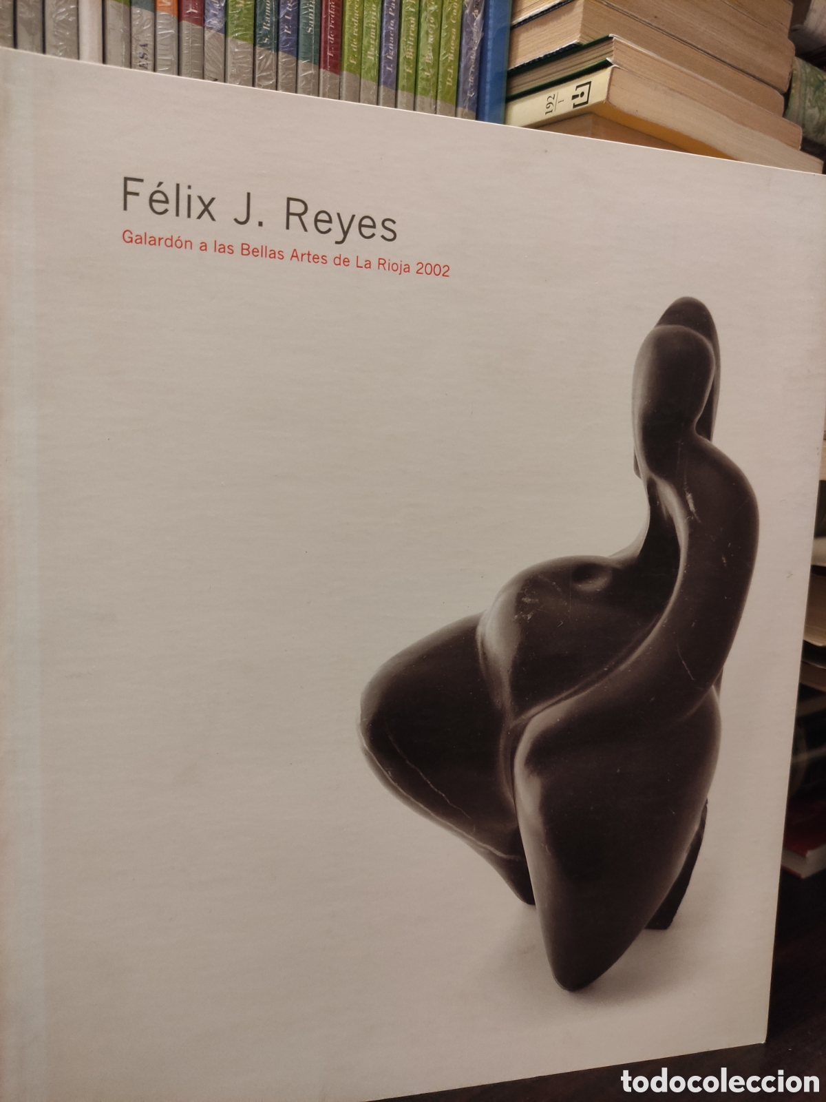 Libros de segunda mano: F&Eacute;LIX J. REYES - Galard&oacute;n a las Bellas Artes de La Rioja 2002. - Foto 2