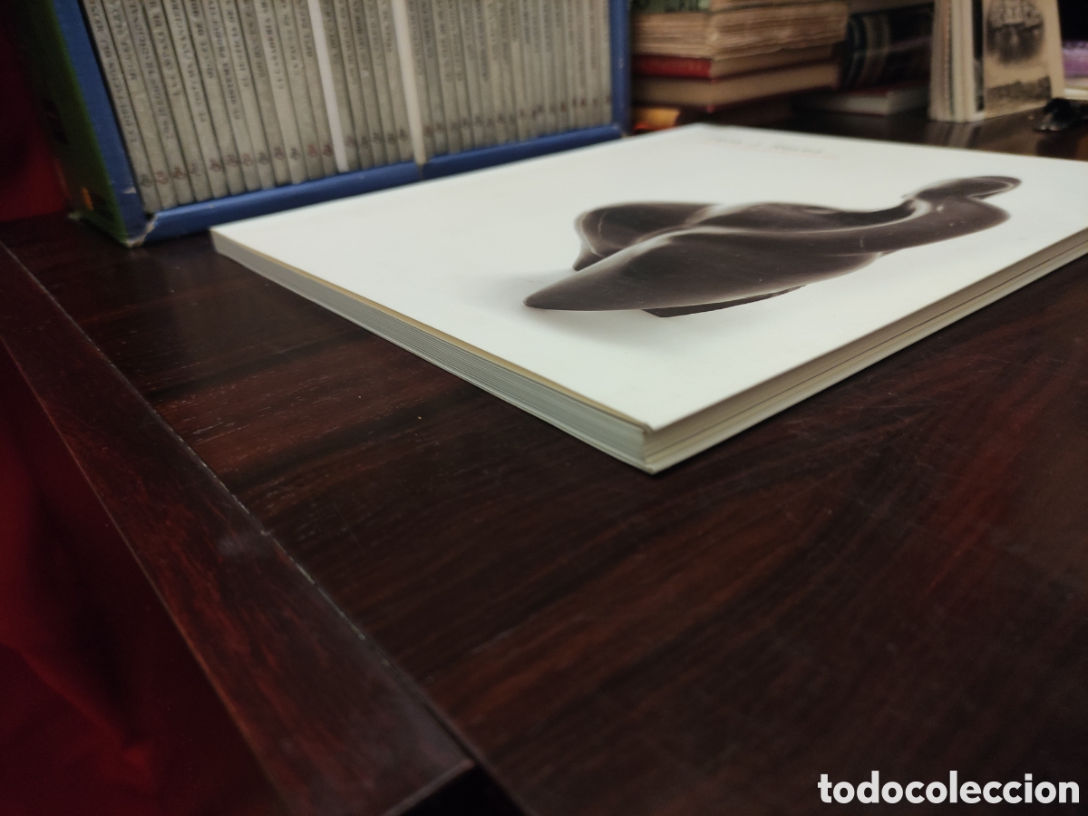 Libros de segunda mano: F&Eacute;LIX J. REYES - Galard&oacute;n a las Bellas Artes de La Rioja 2002. - Foto 4
