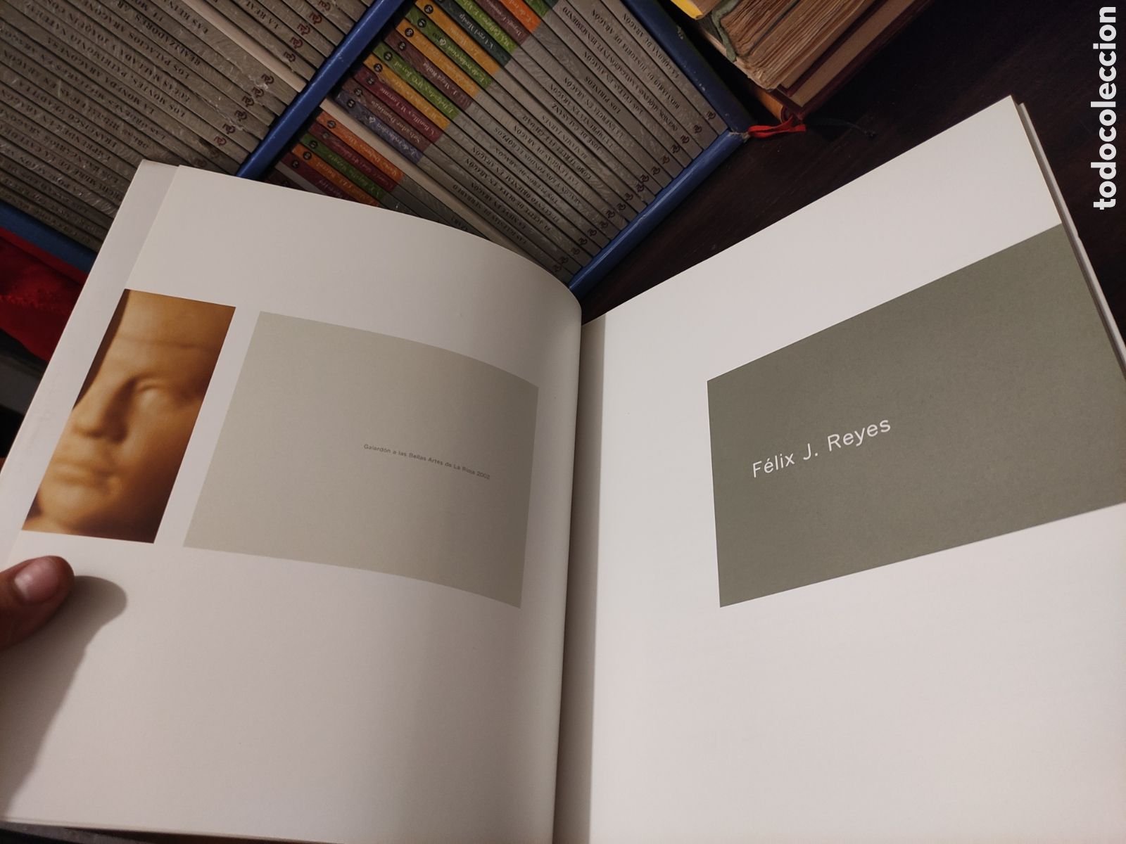 Libros de segunda mano: F&Eacute;LIX J. REYES - Galard&oacute;n a las Bellas Artes de La Rioja 2002. - Foto 6