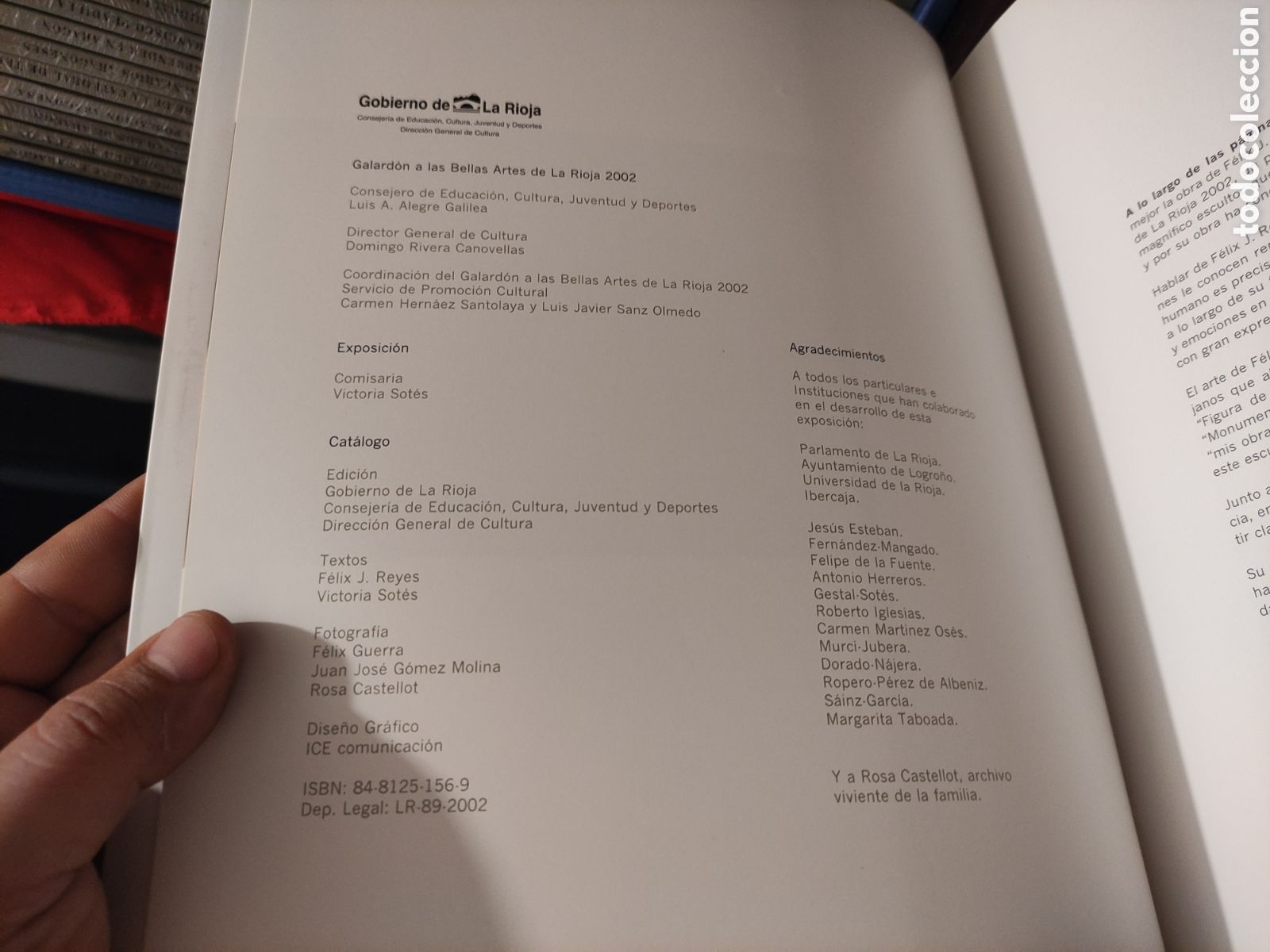 Libros de segunda mano: F&Eacute;LIX J. REYES - Galard&oacute;n a las Bellas Artes de La Rioja 2002. - Foto 7