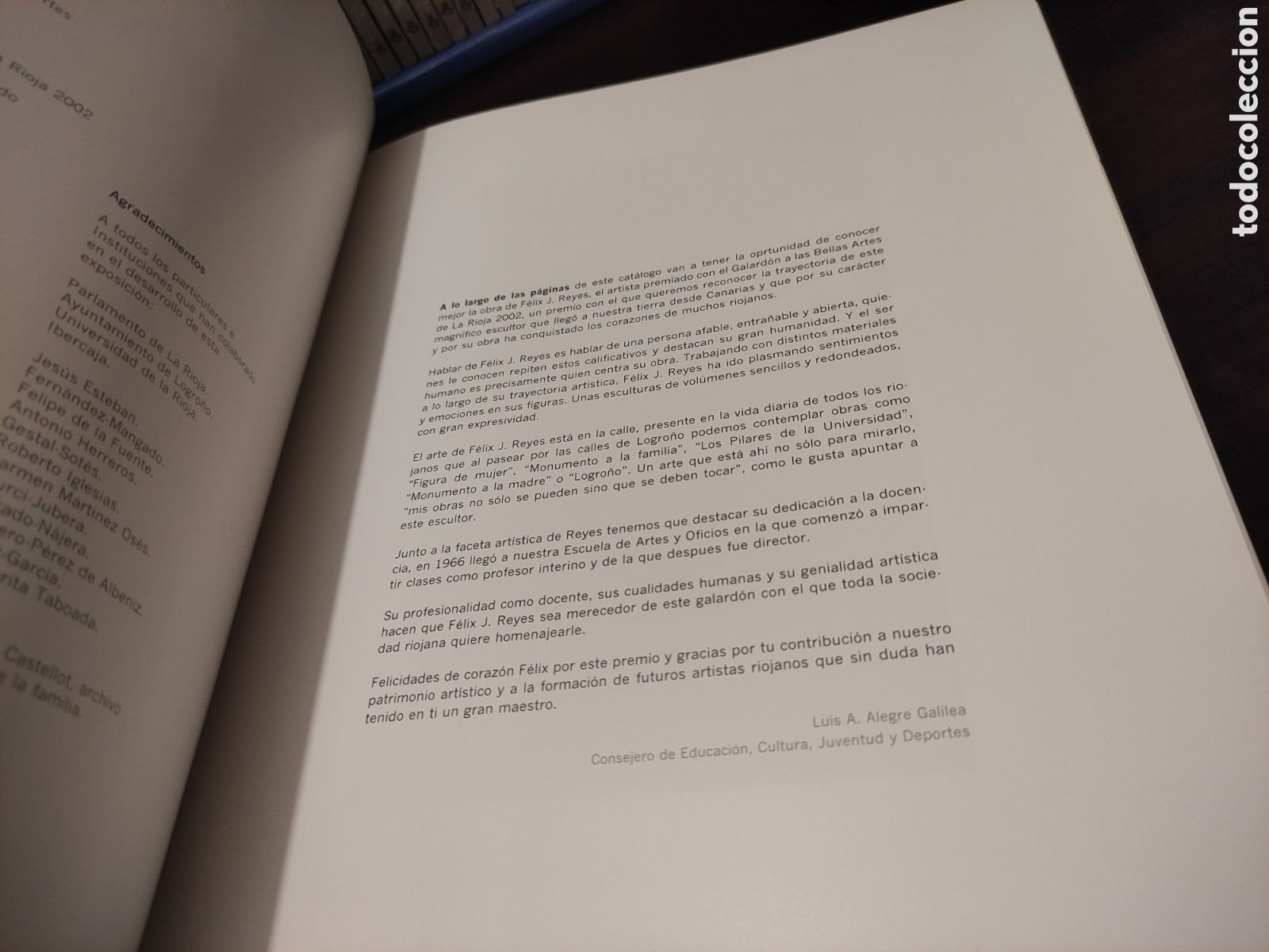 Libros de segunda mano: F&Eacute;LIX J. REYES - Galard&oacute;n a las Bellas Artes de La Rioja 2002. - Foto 8