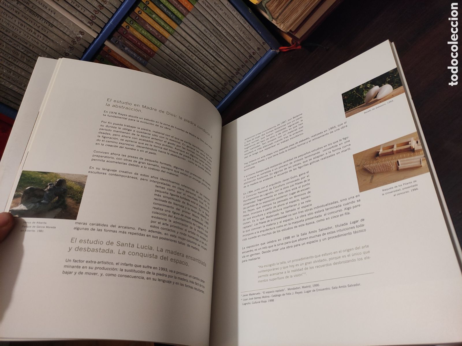 Libros de segunda mano: F&Eacute;LIX J. REYES - Galard&oacute;n a las Bellas Artes de La Rioja 2002. - Foto 12