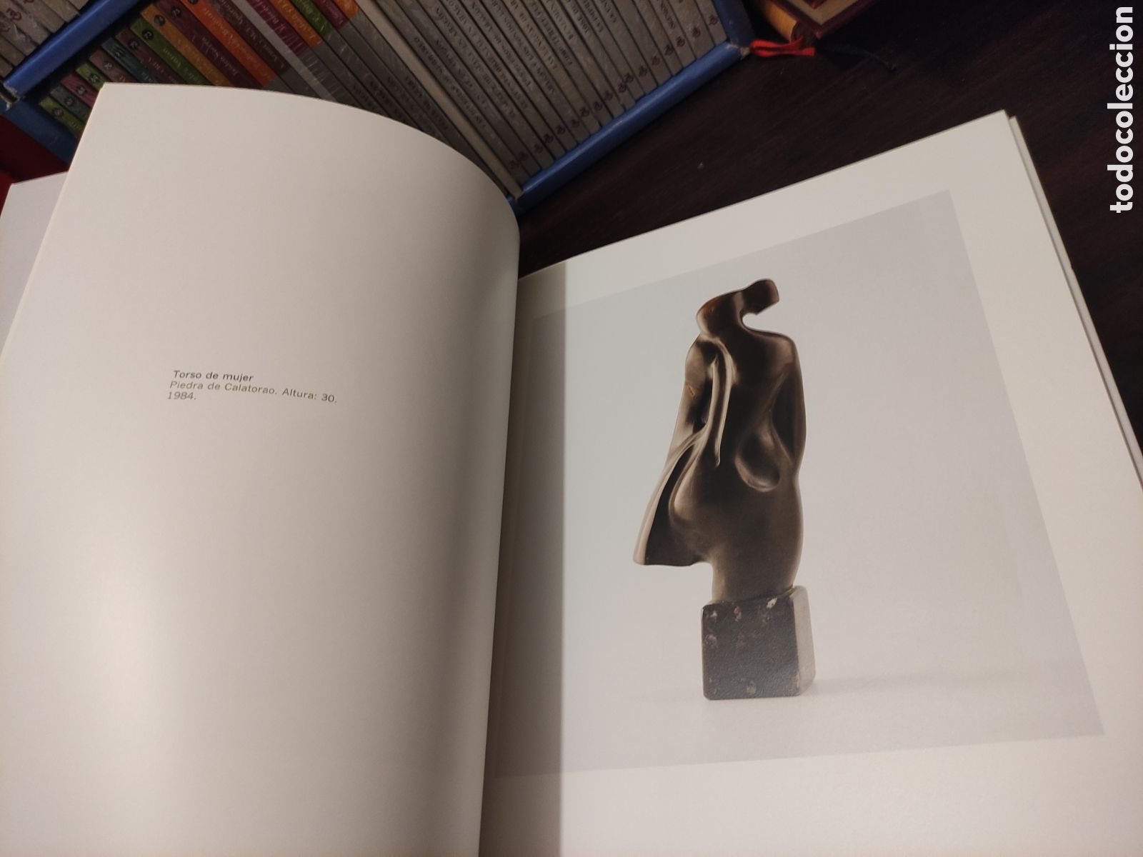 Libros de segunda mano: F&Eacute;LIX J. REYES - Galard&oacute;n a las Bellas Artes de La Rioja 2002. - Foto 17