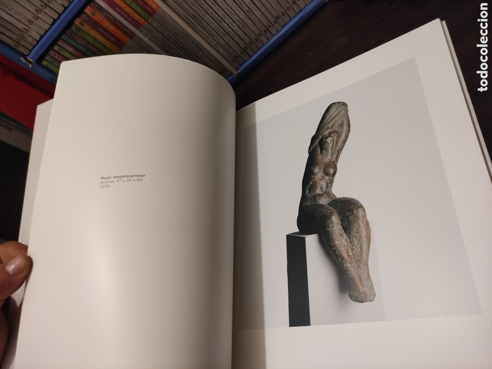 Libros de segunda mano: F&Eacute;LIX J. REYES - Galard&oacute;n a las Bellas Artes de La Rioja 2002. - Foto 18