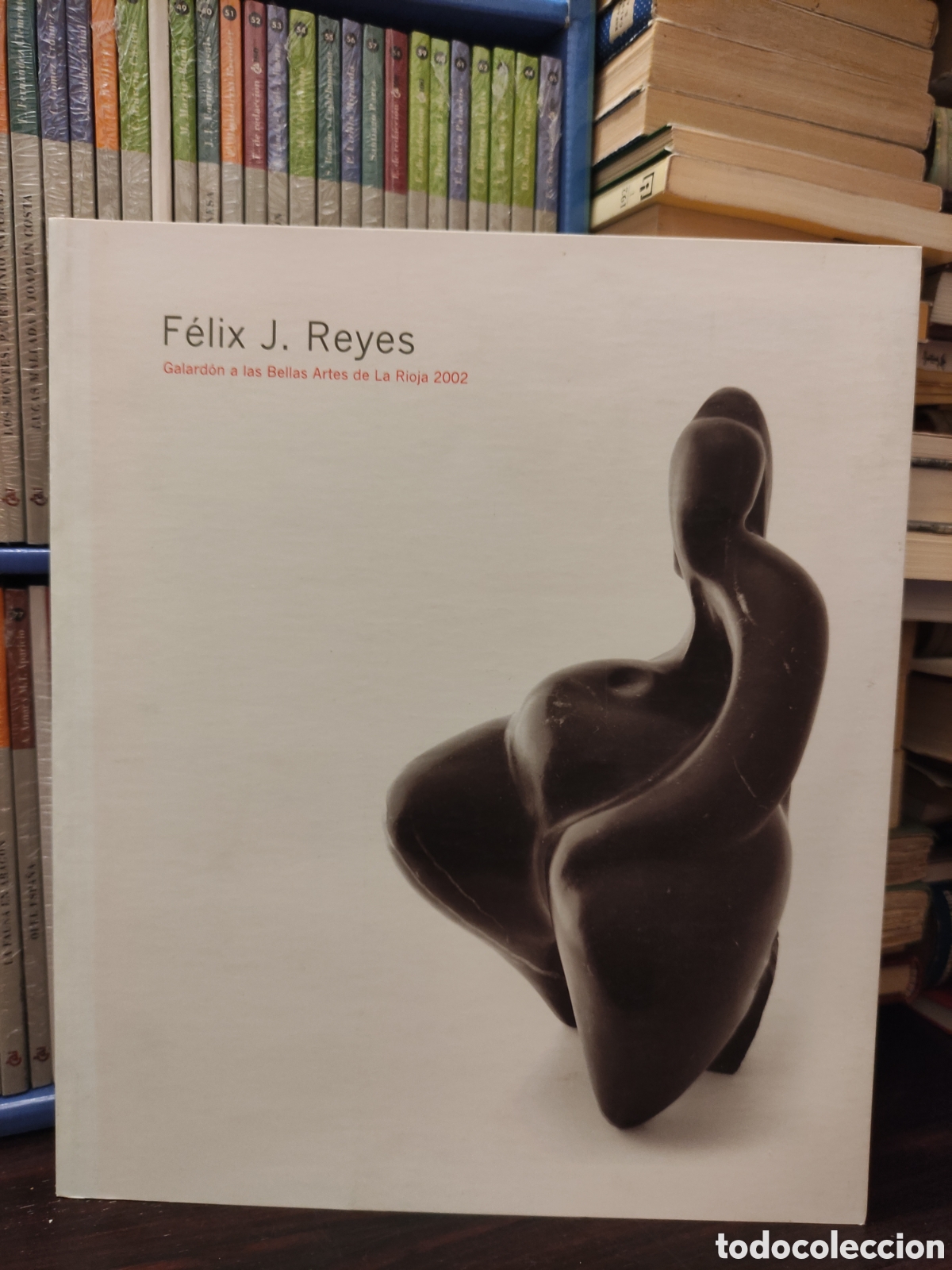 Livres d'occasion: F&Eacute;LIX J. REYES - Galard&oacute;n a las Bellas Artes de La Rioja 2002.