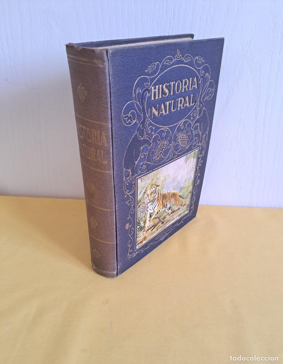 Libros de segunda mano: CELSO AREVALO - HISTORIA NATURAL POPULAR - BILIOTECA HISPANIA, RAMON SOPENA 1931