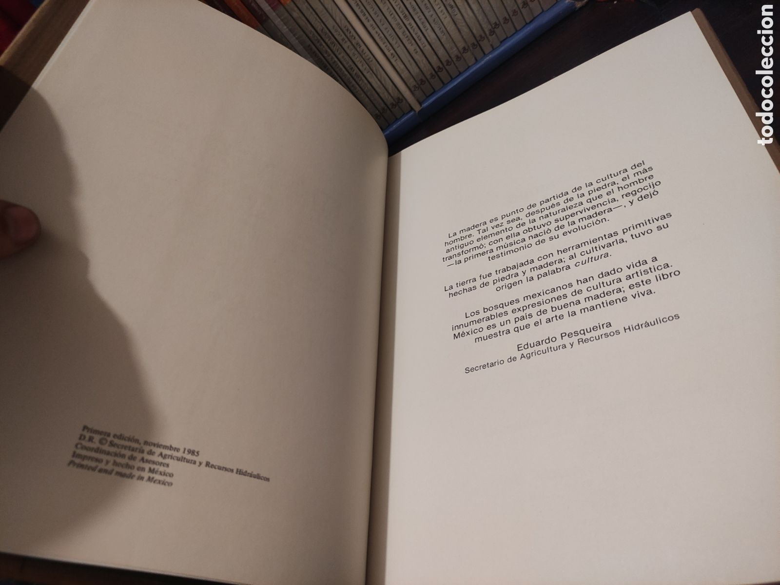 Libros de segunda mano: LA MADERA EN EL ARTE MEXICANO - SARH 1985 - Foto 9