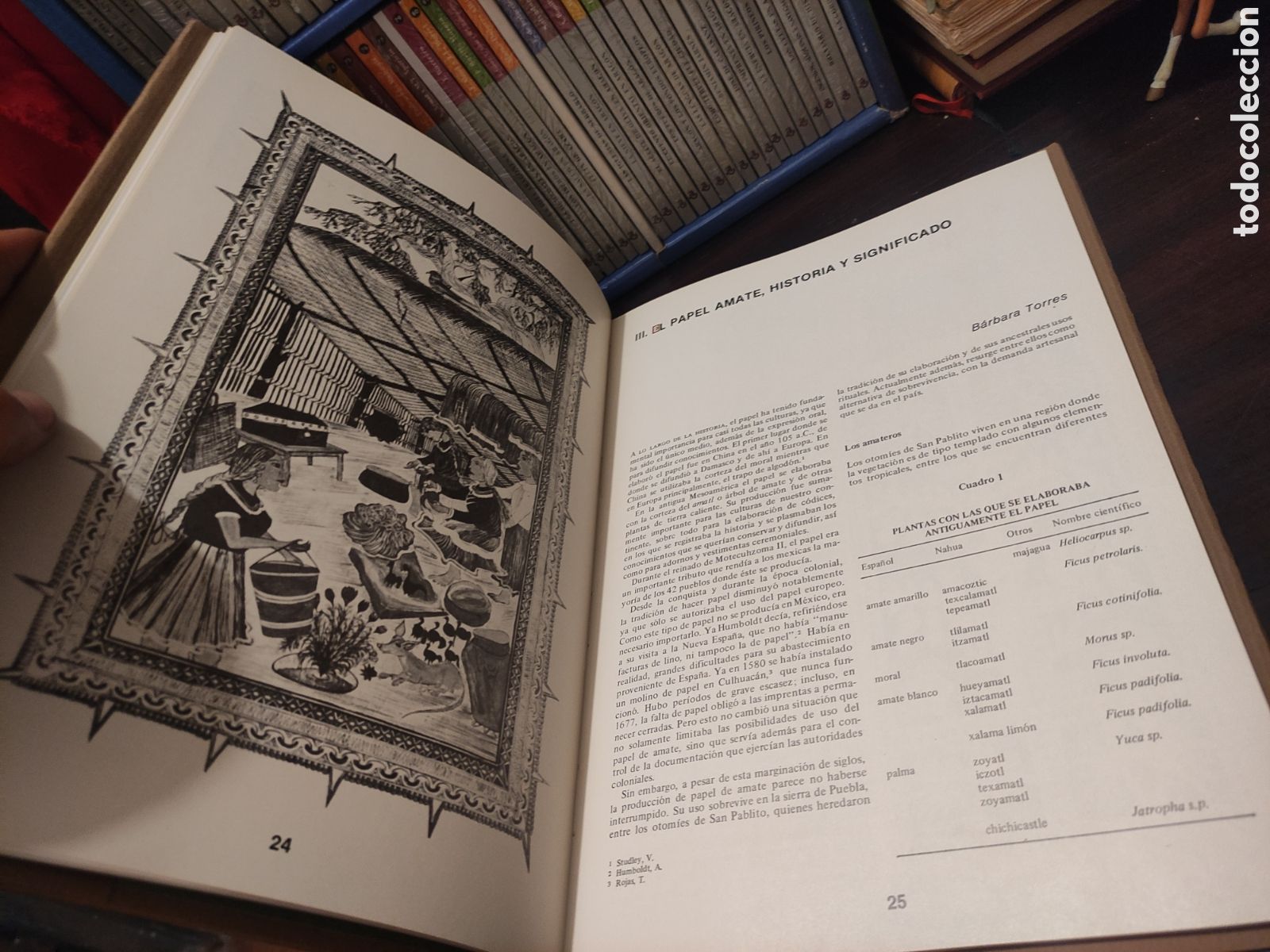 Libros de segunda mano: LA MADERA EN EL ARTE MEXICANO - SARH 1985 - Foto 18