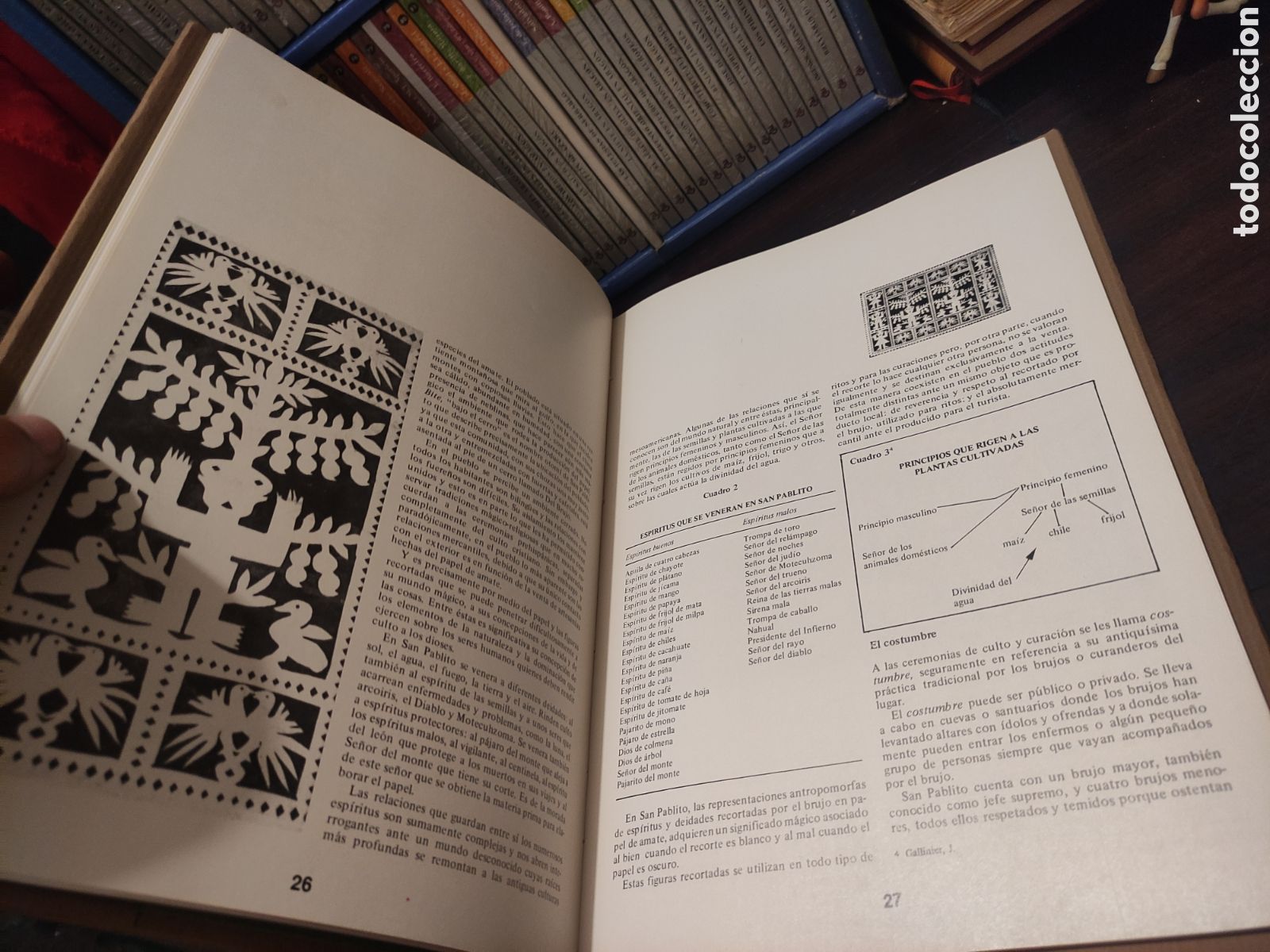Libros de segunda mano: LA MADERA EN EL ARTE MEXICANO - SARH 1985 - Foto 19