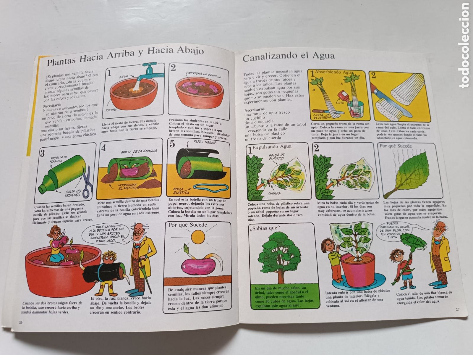 Libros de segunda mano: COMO HACER EXPERIMENTOS - Ediciones Plesa, SM Ediciones (1981) - Foto 7