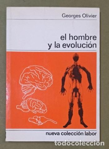 Libros de segunda mano: Lote 4 Libros de Ciencia y Evoluci&oacute;n (Darwin, Origen del Hombre) - Foto 3