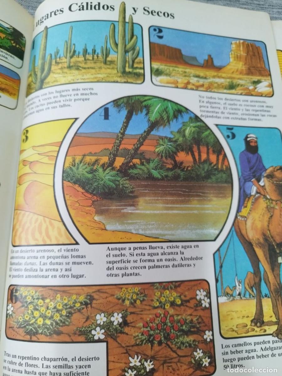 Libros de segunda mano: El libro de los Ni&ntilde;os La Tierra Ediciones Plesa A&ntilde;o 1979 - Foto 8