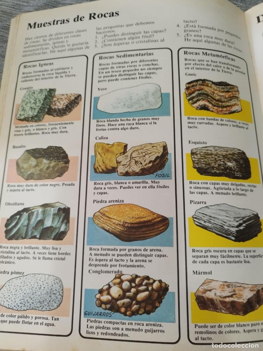Libros de segunda mano: El libro de los Ni&ntilde;os La Tierra Ediciones Plesa A&ntilde;o 1979 - Foto 9