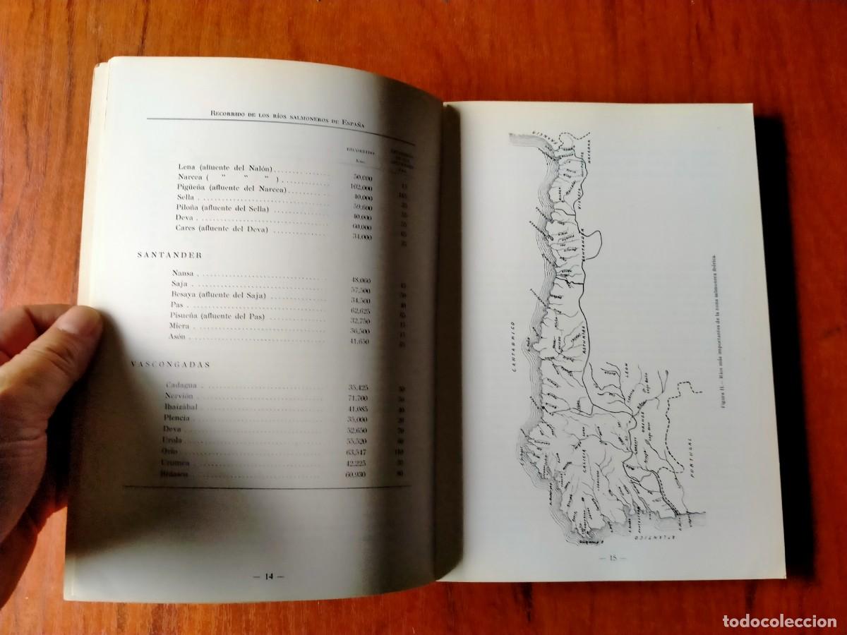 Libros de segunda mano: RIOS SALMONEROS DE ASTURIAS - Foto 3