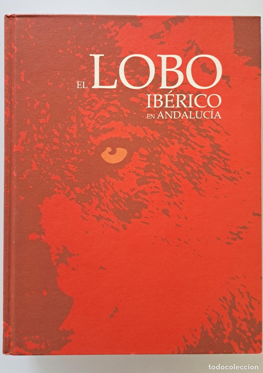 Second hand books: El Lobo Ib&eacute;rico en Andaluc&iacute;a. Fundaci&oacute;n Gypaetus
