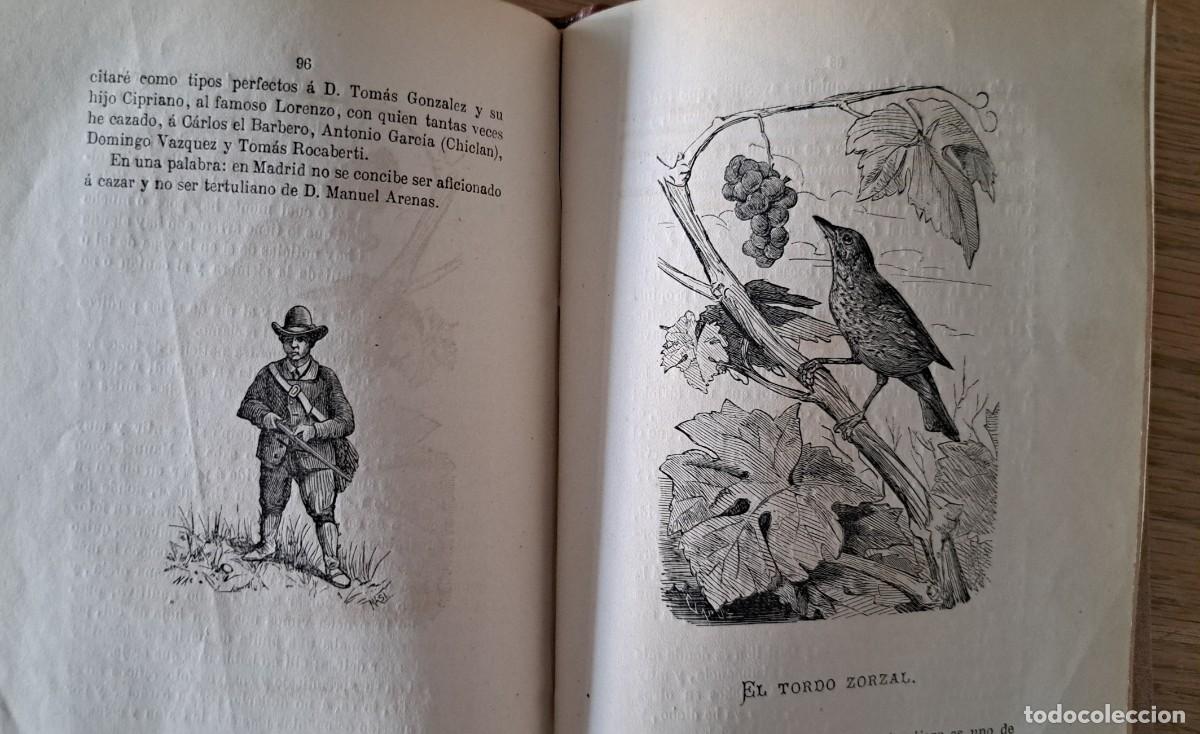 Libros de segunda mano: RECUERDOS DE CAZA. BAR&Oacute;N DE CORTES. 1876 - Foto 6