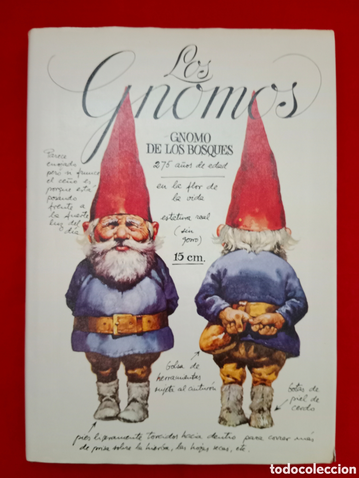Libros de segunda mano: LOS GNOMOS , POORTVLIET Y HUYGEN, MONTENA