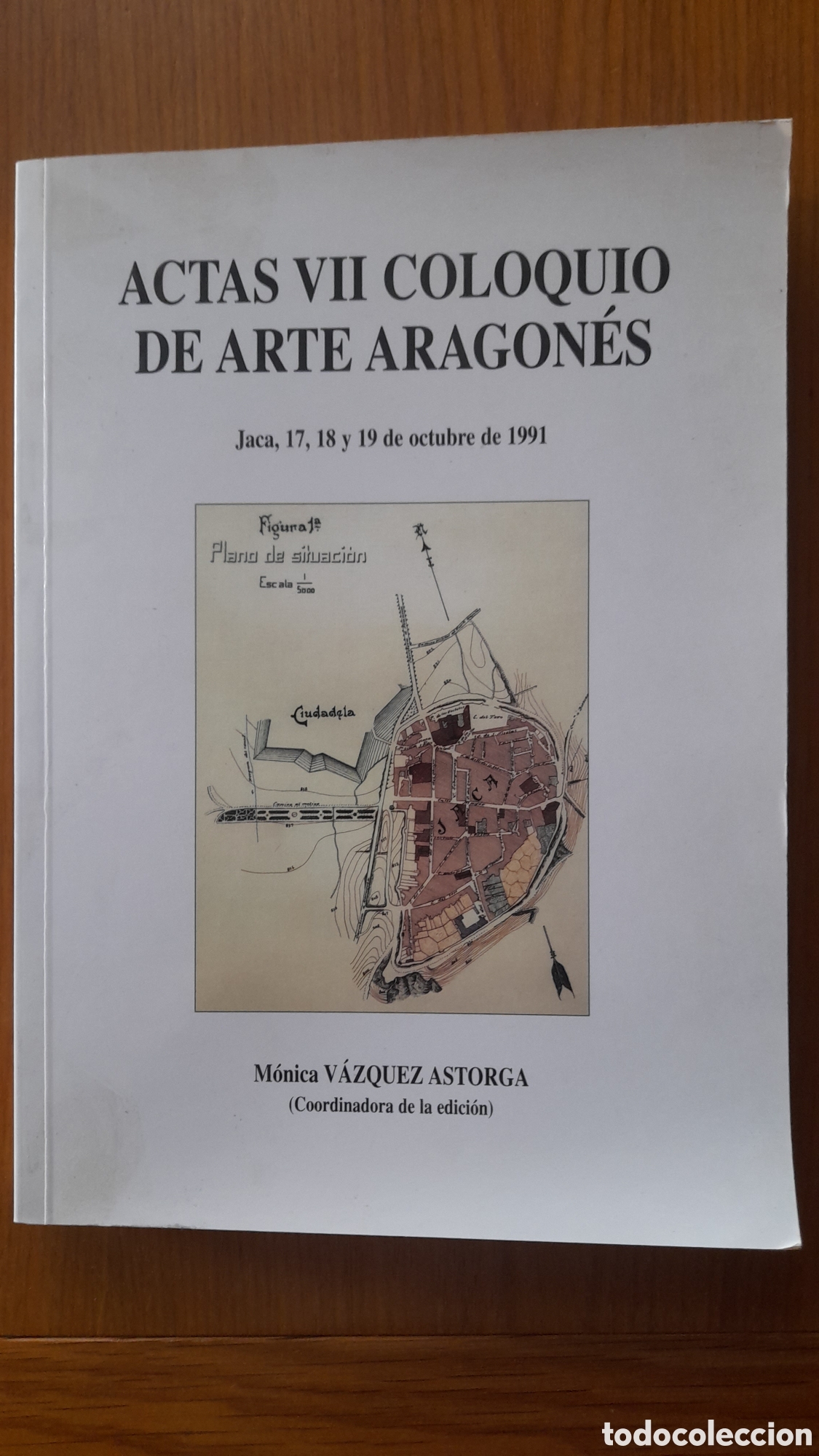 Gebrauchte B&uuml;cher: ACTAS VII COLOQUIO DE ARTE ARAGON&Eacute;S M&Oacute;NICA VAZQUEZ ASTROGA