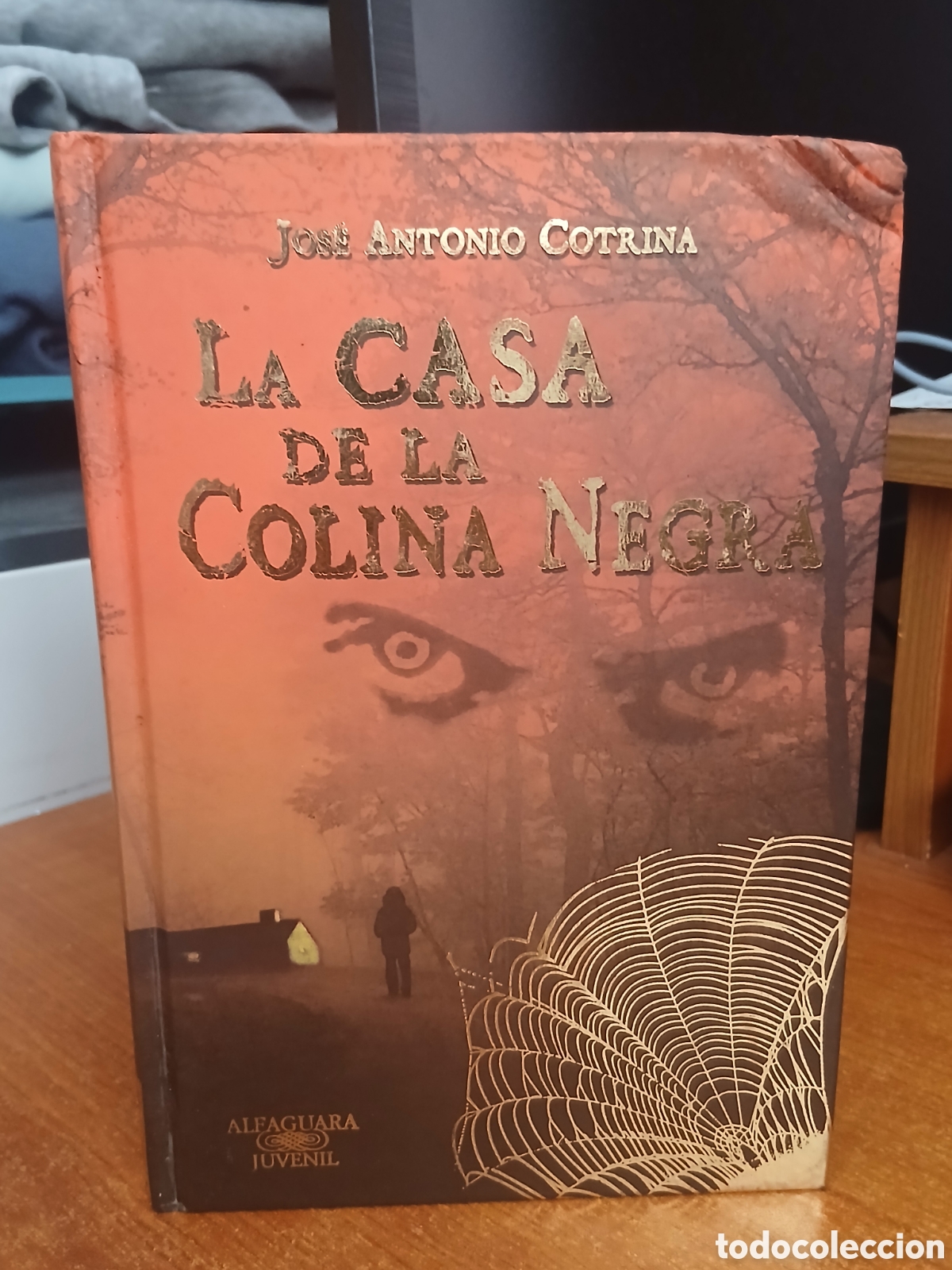 Libros de segunda mano: Libro La Casa de la Colina Negra -Juan Antonio Cotrina- Ed. Grijalbo