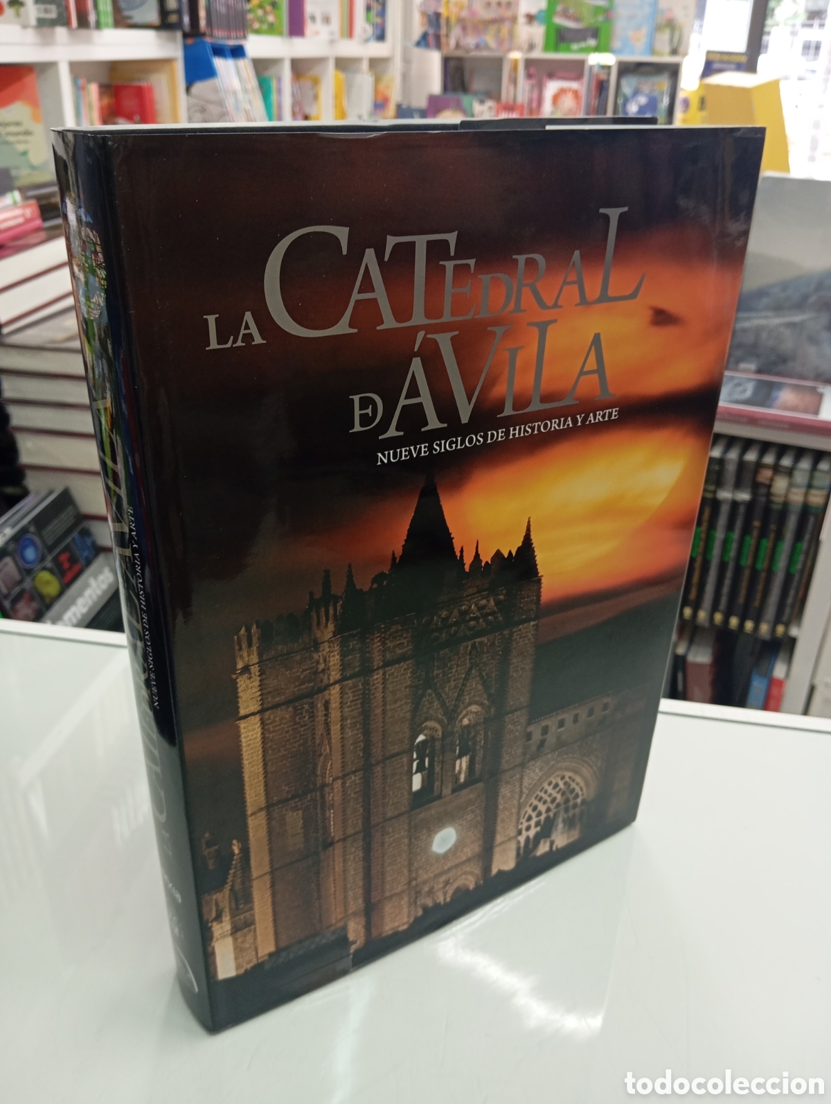 Libros de segunda mano: LA CATEDRAL DE AVILA NUEVE SIGLOS DE HISTORIA Y ARTE PROMECAL PUBLICACIONES 2014 NUEVO