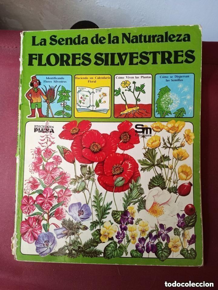 Libros de segunda mano: LA SENDA DE LA NATURALEZA - FLORES SILVESTRES -LEER DETALLES
