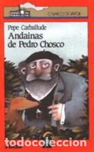 Libros de segunda mano: Andainas de Pedro Chosco - Pepe Carballude - Cesma - Sm/ Xerme - El Barco de Vapor Naranja