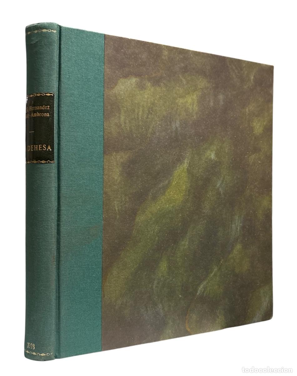 Libros de segunda mano: DEHESA, Aprovechamiento sostenible de los recursos naturales. LA. Jornadas de agronom&iacute;a