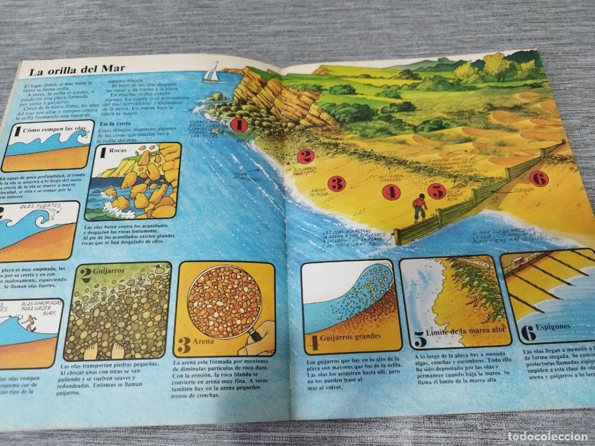 Libros de segunda mano: Los Mares El libro de los ni&ntilde;os Ediciones Plesa SM 1976 - Foto 3