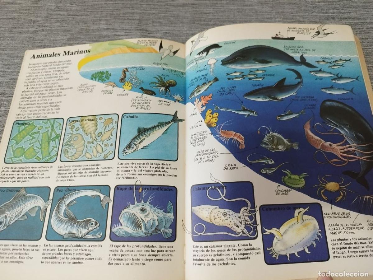 Libros de segunda mano: Los Mares El libro de los ni&ntilde;os Ediciones Plesa SM 1976 - Foto 7