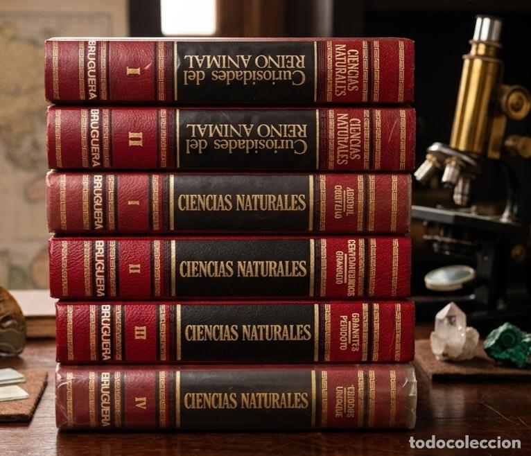 Libros de segunda mano: Colecci&oacute;n &rdquo;Reportaje de la Historia&rdquo;
