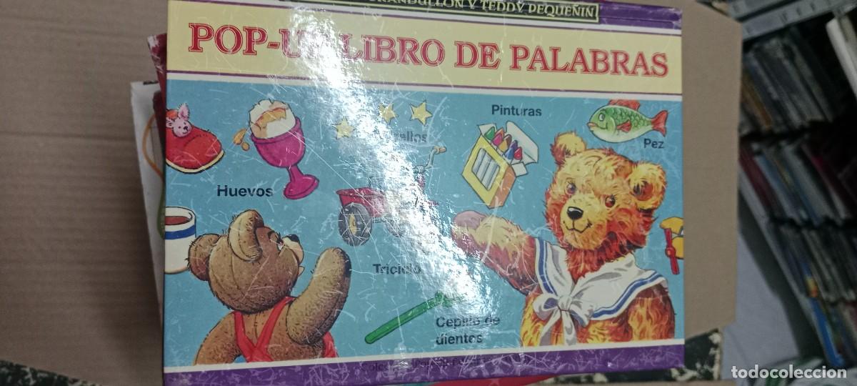 Libros de segunda mano: EDUARDO GRANDULLON Y TEDDY PEQUE&Ntilde;IN - POP-UP LIBRO DE PALABRAS LIBRO GG-EX