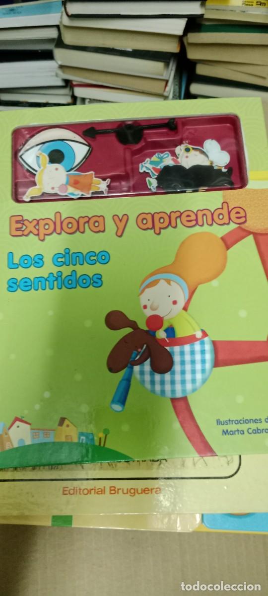 Libros de segunda mano: EXPLORA Y APRENDE LOS CINCO SENTIDOS LIBRO M-FON