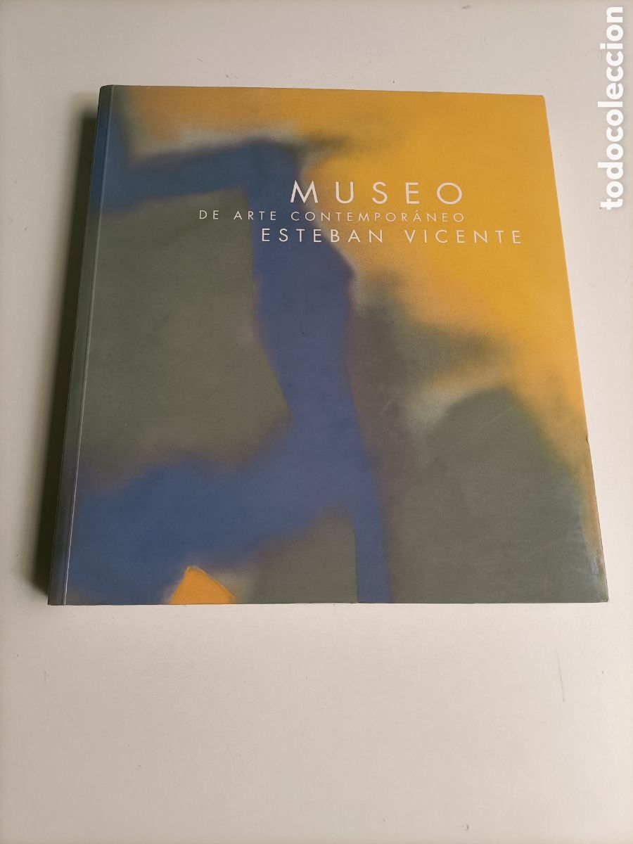 Libros de segunda mano: Museo de Arte contempor&aacute;neo Esteban Vicente arte siglo XX XXI