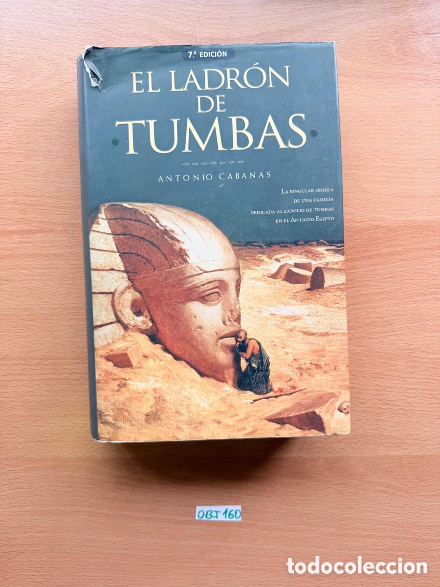 Libros de segunda mano: Libro el ladr&oacute;n de tumbas