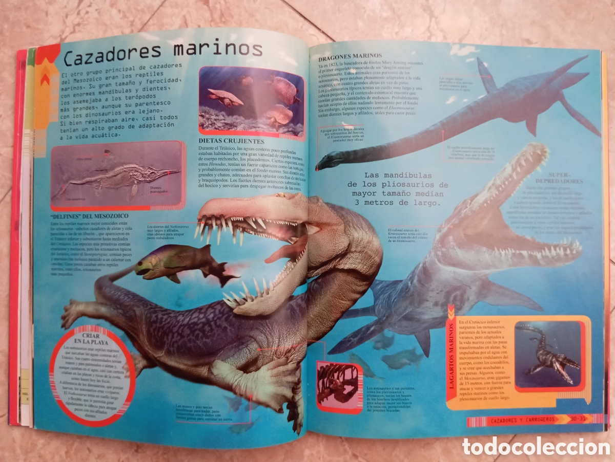 Libros de segunda mano: DINOSAURIOS EN MOVIMIENTO CON CD - Foto 4