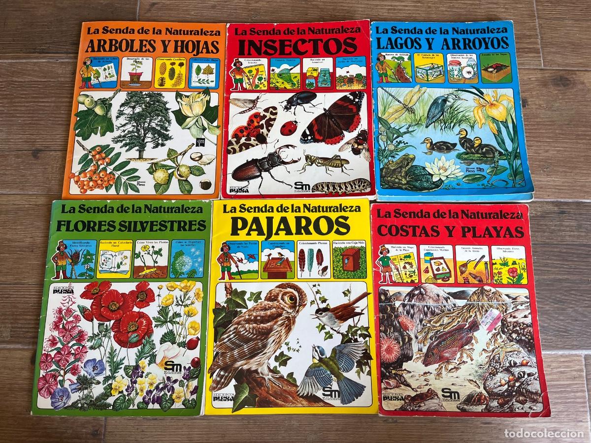 Libros de segunda mano: PLESA LA SENDA DE NATURALEZA LAGOS Y ARROYOS INSECTOS COSTAS PLAYAS FLORES &Aacute;RBOLES - 6 NUMERO