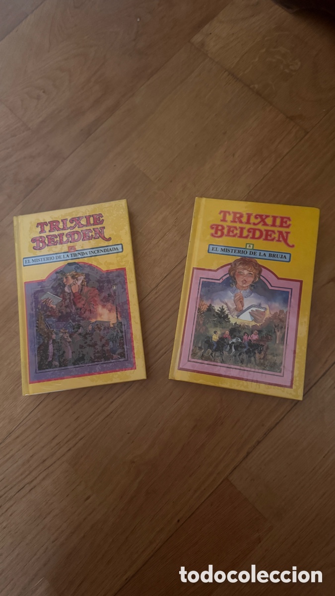 Libros de segunda mano: LOTE 2 TRIXIE BELDEN N&ordm; 8 Y 20 &ndash; SUSAETA 1986 &ndash; EL MISTERIO DE LA BRUJA / TIENDA INCENDIADA