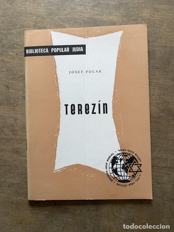 Libri di seconda mano: Terezin - Polak Josef