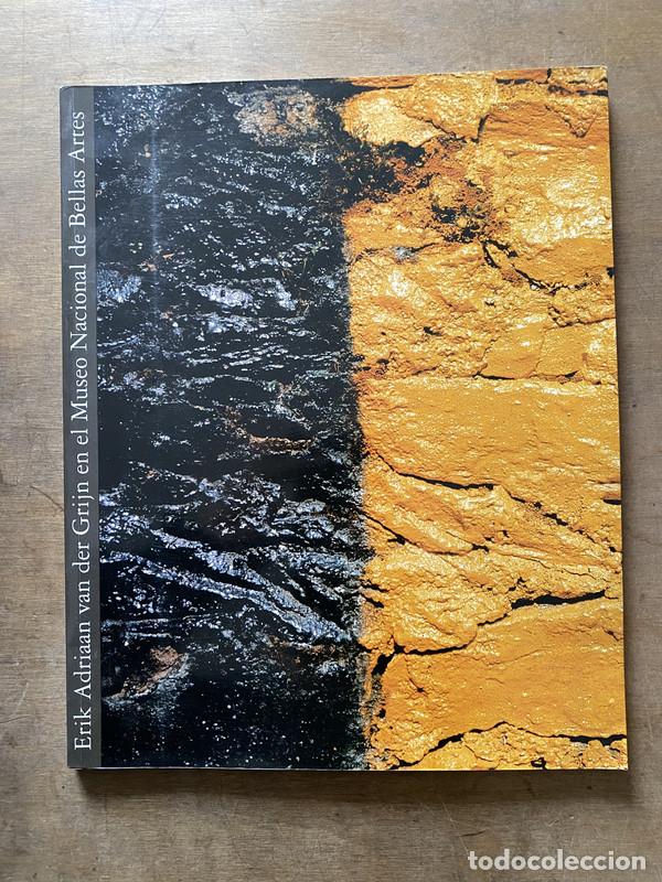 Libros de segunda mano: Erik Adriaan van der Grijn en el Museo Nacional de Bellas Artes - van der Grijn Erik Adriaan