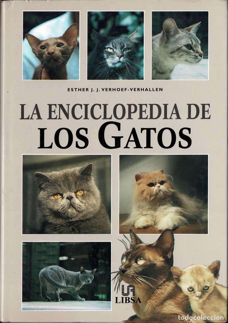 Libros de segunda mano: La enciclopedia de los gatos - Esther J. J. Verhoef-Verhallen